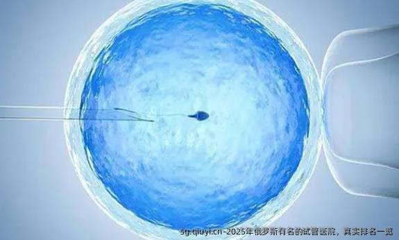 2025年俄罗斯有名的试管医院，真实排名一览