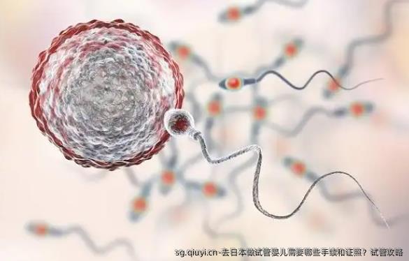 去日本做试管婴儿需要哪些手续和证照？试管攻略