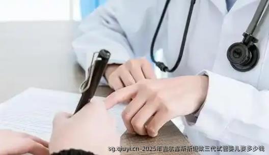 2025年吉尔吉斯斯坦做三代试管婴儿要多少钱