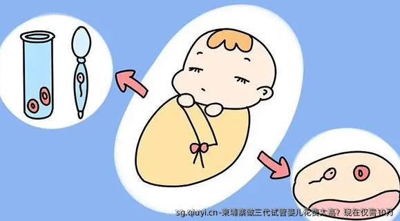 柬埔寨做三代试管婴儿花费太高？现在仅需10万
