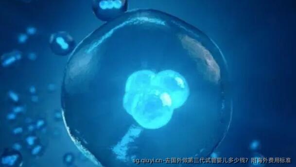去国外做第三代试管婴儿多少钱？附海外费用标准