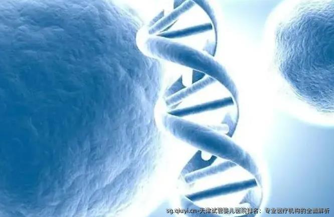 天津试管婴儿医院排名：专业医疗机构的全面解析