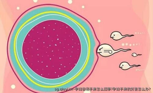 孕妇容易手麻怎么回事?孕妇手麻的厉害怎么办?