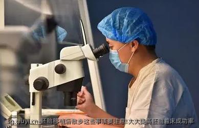 胚胎移植后散步这些事项要注意!大大提高胚胎着床成功率