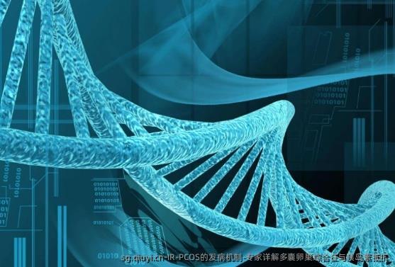 IR-PCOS的发病机制-专家详解多囊卵巢综合征与胰岛素抵抗