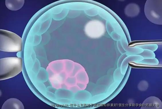 吃什么东西对子宫内膜和卵巢好?医生分享助孕食补药膳大全