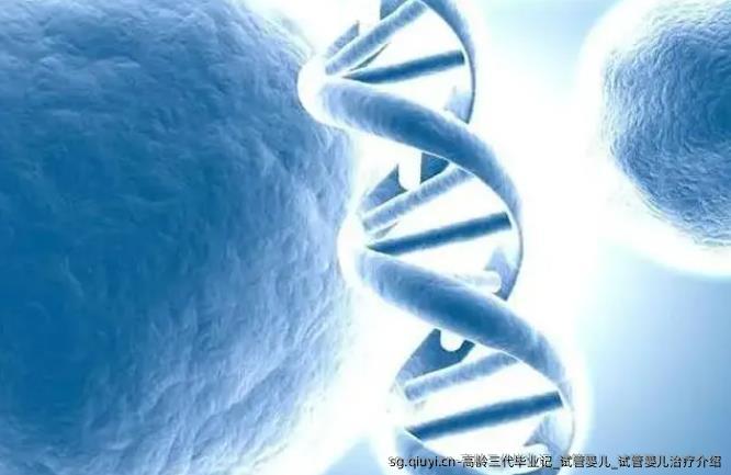 高龄三代毕业记_试管婴儿_试管婴儿治疗介绍