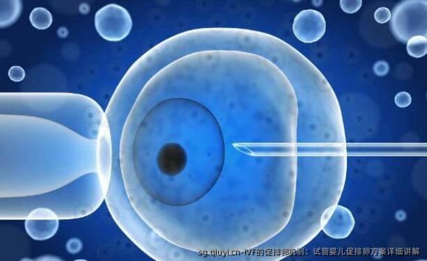 IVF的促排卵机制：试管婴儿促排卵方案详细讲解