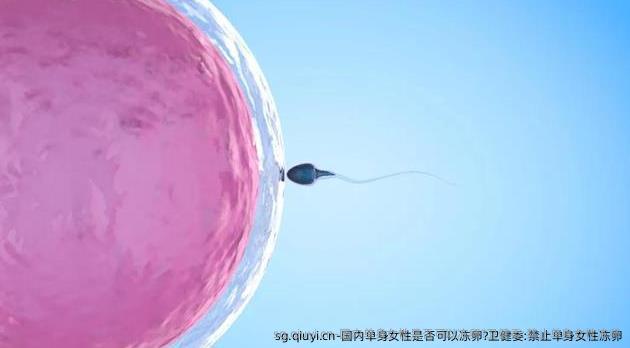 国内单身女性是否可以雪藏卵?卫健委:禁止单身女性雪藏卵