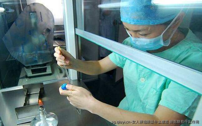 女人卵泡期是什么意思 卵泡期有什么作用
