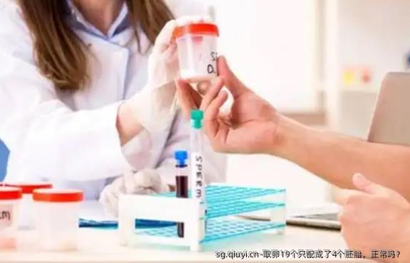 卵泡取出19个只配成了4个胚胎，正常吗？