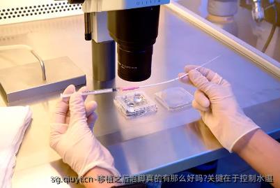 移植之后泡脚真的有那么好吗?关键在于控制水温