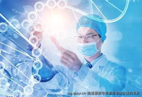 肠道菌群与多囊卵巢综合征的关系