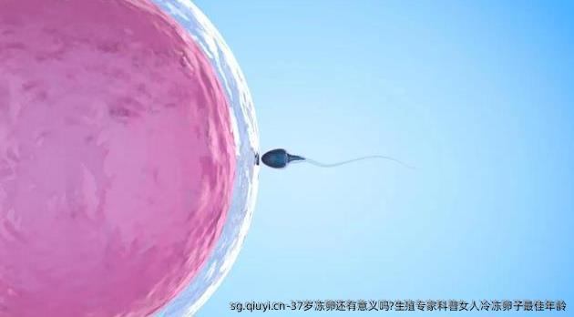 37岁雪藏卵还有意义吗?生殖专家科普女人冷雪藏卵子较好年龄