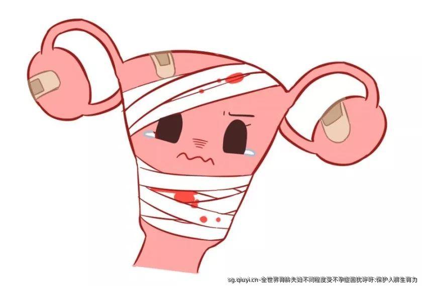 全世界育龄夫妇不同程度受不孕症困扰呼吁:保护人群生育力