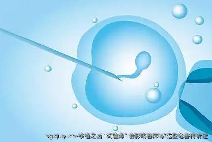 移植之后“试管蹲”会影响着床吗?这些危害得清楚