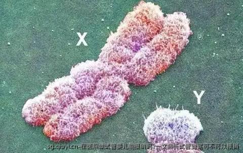 在医院做试管婴儿能报销吗?一文解析试管到底可不可以报销