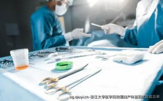 浙江大学医学院附属妇产科医院试管成功率