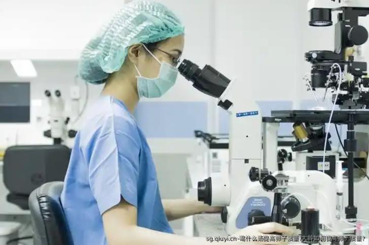 喝什么汤提高卵子质量?大龄如何提高卵子质量?