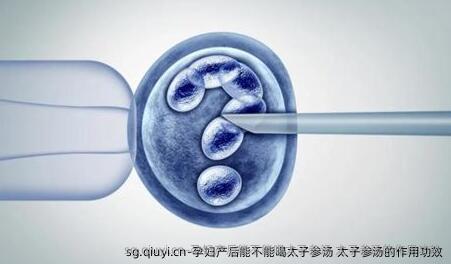 孕妇产后能不能喝太子参汤 太子参汤的作用功效