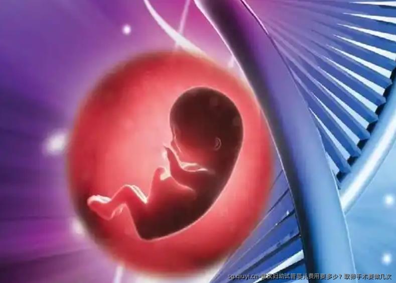 武汉妇幼试管婴儿费用要多少？卵泡取出手术要做几次