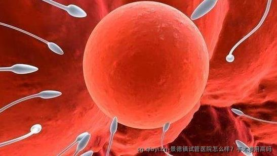 景德镇试管医院怎么样？手术费用高吗