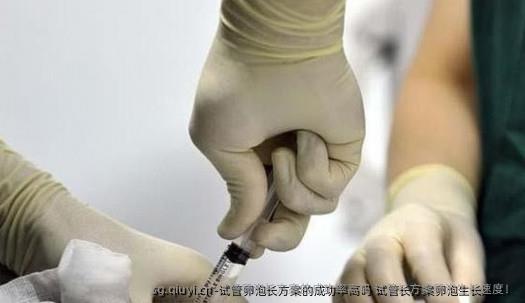 试管卵泡长方案的成功率高吗 试管长方案卵泡生长速度！