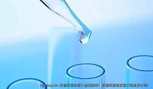 多囊试管去哪个医院做好！多囊卵巢做试管大概要多少钱！
