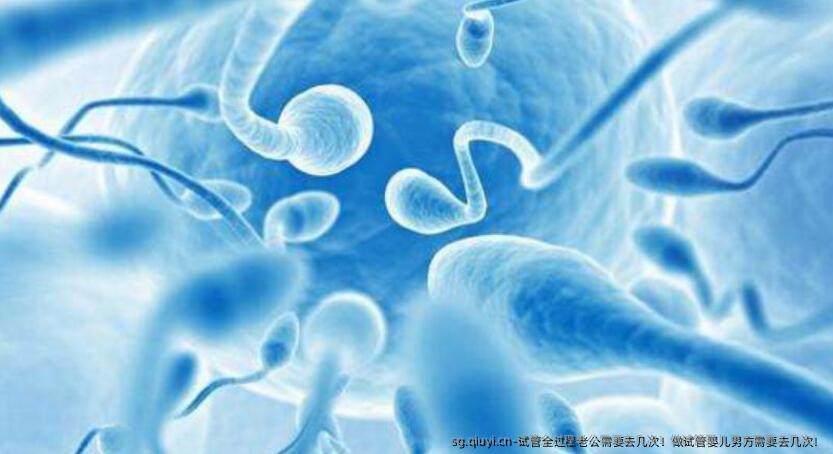 试管全过程老公需要去几次！做试管婴儿男方需要去几次！