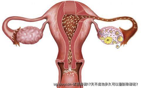 试管降调17天不成功多久可以重新降调呢？