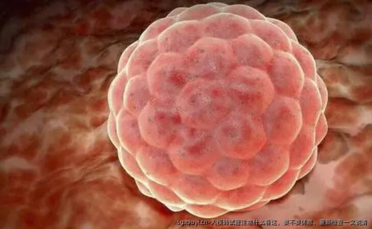 人授转试管注意什么看这，要不要休息、重新检查一文说清
