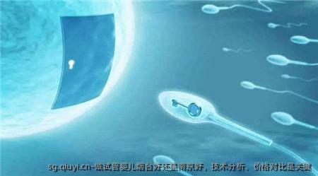 做试管婴儿烟台好还是南京好，技术分析、价格对比是关键
