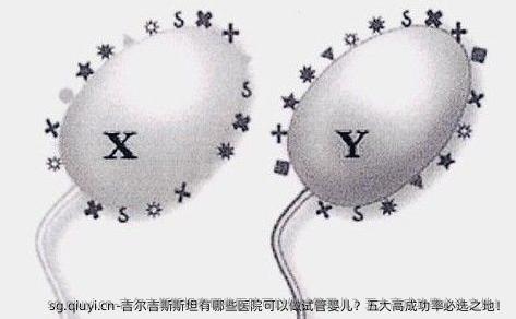 吉尔吉斯斯坦有哪些医院可以做试管婴儿？五大高成功率必选之地！