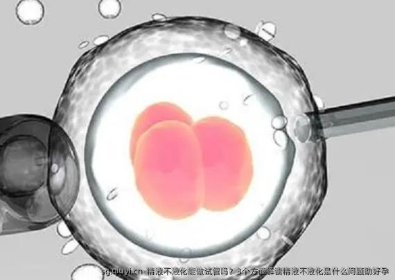 精液不液化能做试管吗？3个方面解读精液不液化是什么问题助好孕