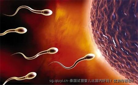 泰国试管婴儿比国内好吗？优势有哪些？