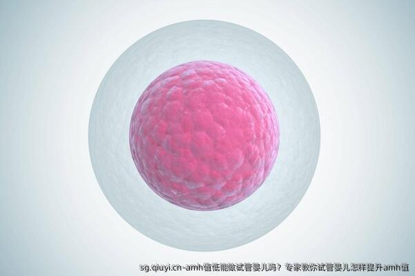 amh值低能做试管婴儿吗？专家教你试管婴儿怎样提升amh值