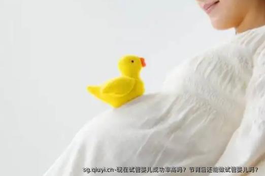 现在试管婴儿成功率高吗？节育后还能做试管婴儿吗？