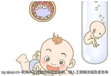 杭州人工授精流程是怎样的，附人工授精流程及成功率
