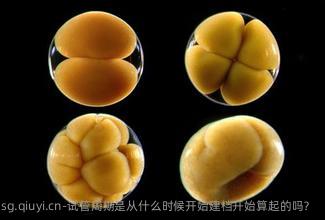 试管周期是从什么时候开始建档开始算起的吗？