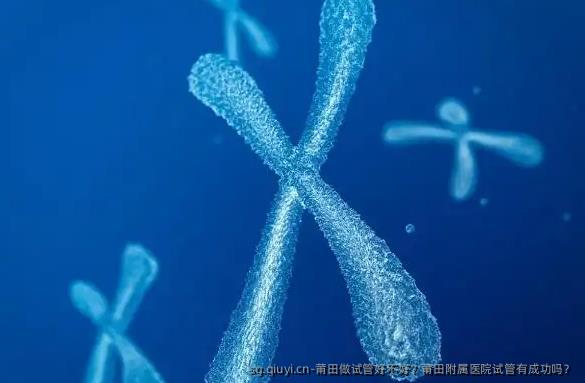 莆田做试管好不好？莆田附属医院试管有成功吗？