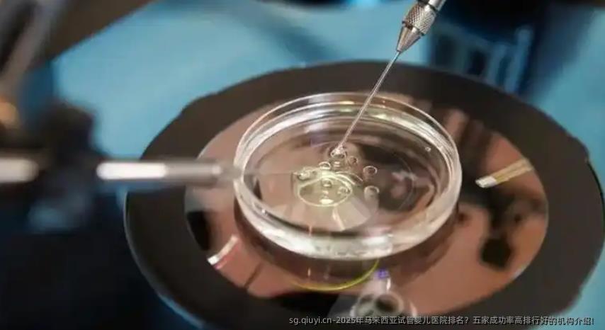 2025年马来西亚试管婴儿医院排名？五家成功率高排行好的机构介绍！