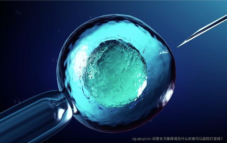 试管长方案降调后什么时候可以返院打促排？
