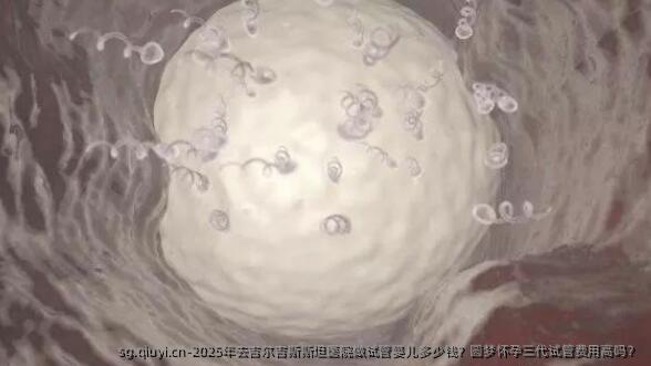 2025年去吉尔吉斯斯坦医院做试管婴儿多少钱？圆梦怀孕三代试管费用高吗？