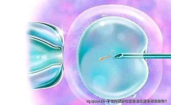 子宫内膜异位症患者应避免哪些食物？