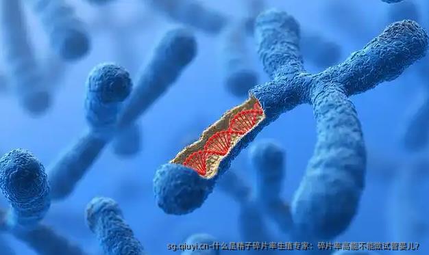 什么是精子碎片率生殖专家：碎片率高能不能做试管婴儿？