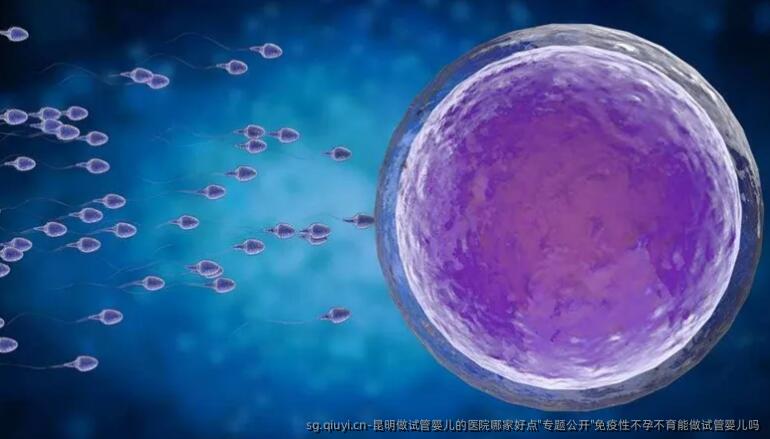 昆明做试管婴儿的医院哪家好点