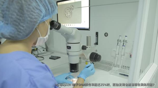 精子DNA损伤率超过25%时，胚胎发育会面临哪些具体问题？