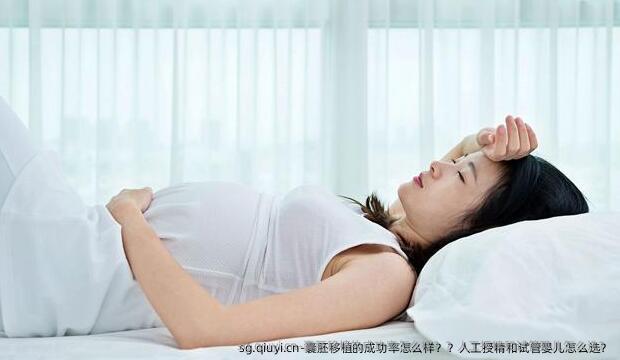 囊胚移植的成功率怎么样？？人工授精和试管婴儿怎么选？