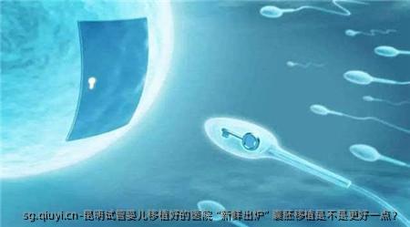 昆明试管婴儿移植好的医院“新鲜出炉”囊胚移植是不是更好一点？