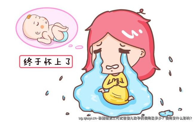 泰国做第三代试管婴儿助孕的费用是多少？费用受什么影响？